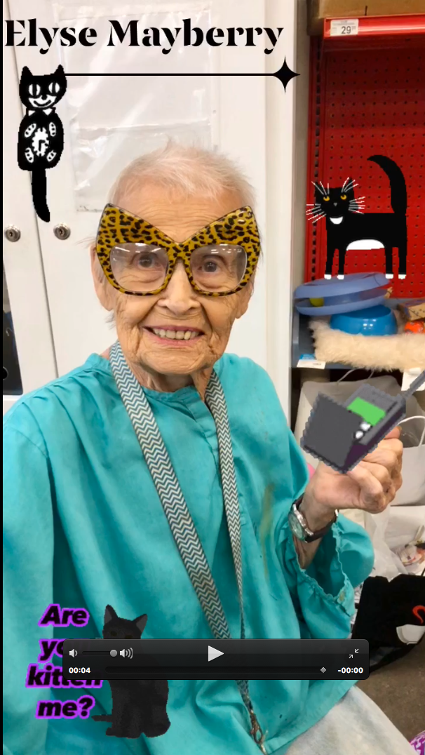 Elyse Mayberry with cats