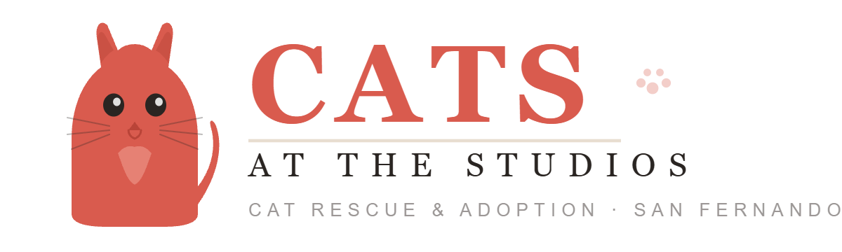 Cats at the Studios Inc logo